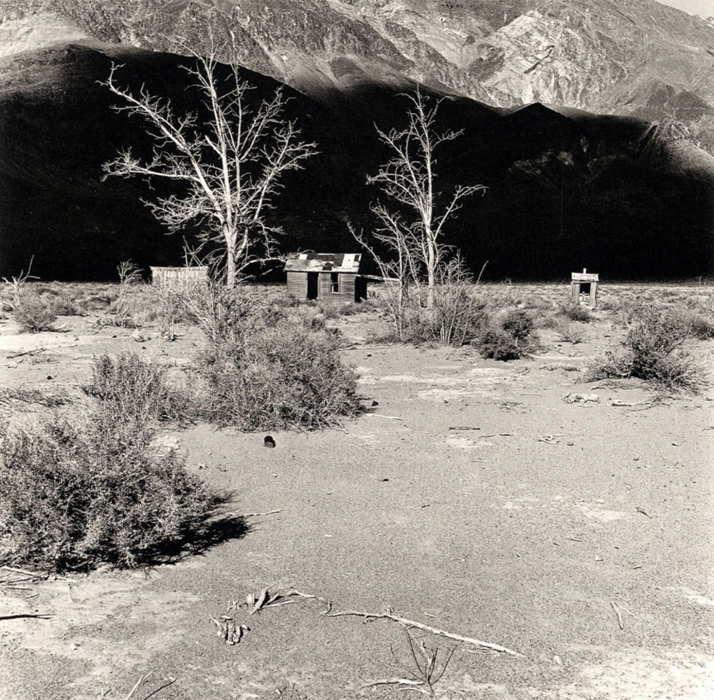 Todd Walker: The Story of an Abandoned Shack