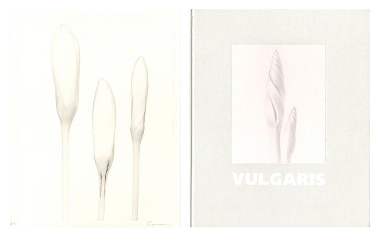 Ron van Dongen: Vulgaris, Special Limited Edition (with Gelatin Silver Print, "Crocus 'Jeanne...