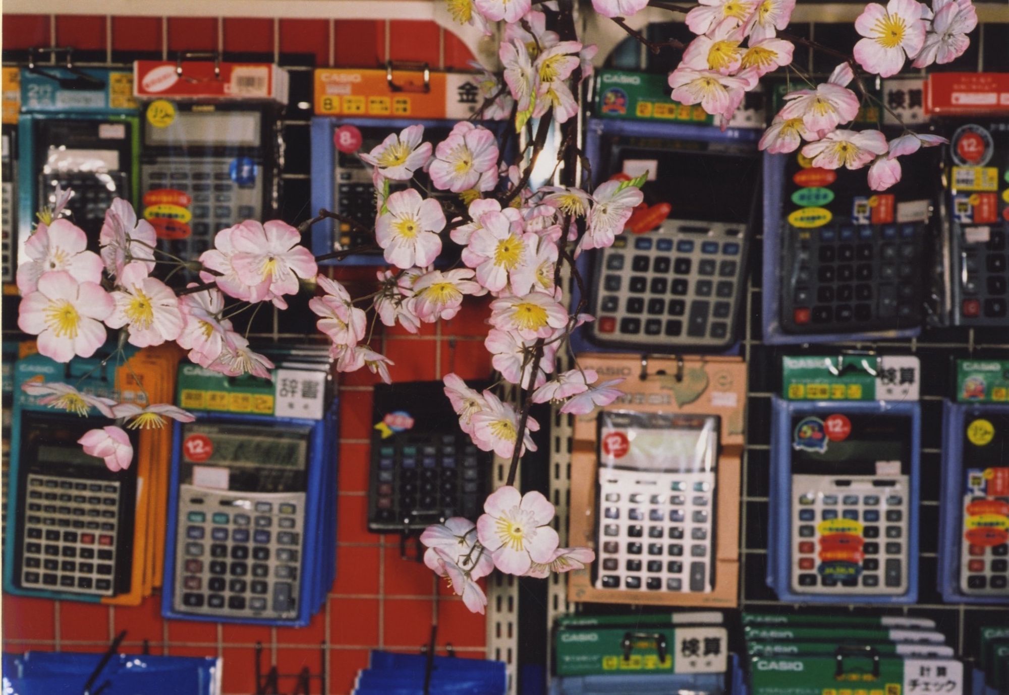 Martin Parr: Cherry Blossom Time in Tokyo, 2000, Limited Edition (with 20 Original Color Photographs)