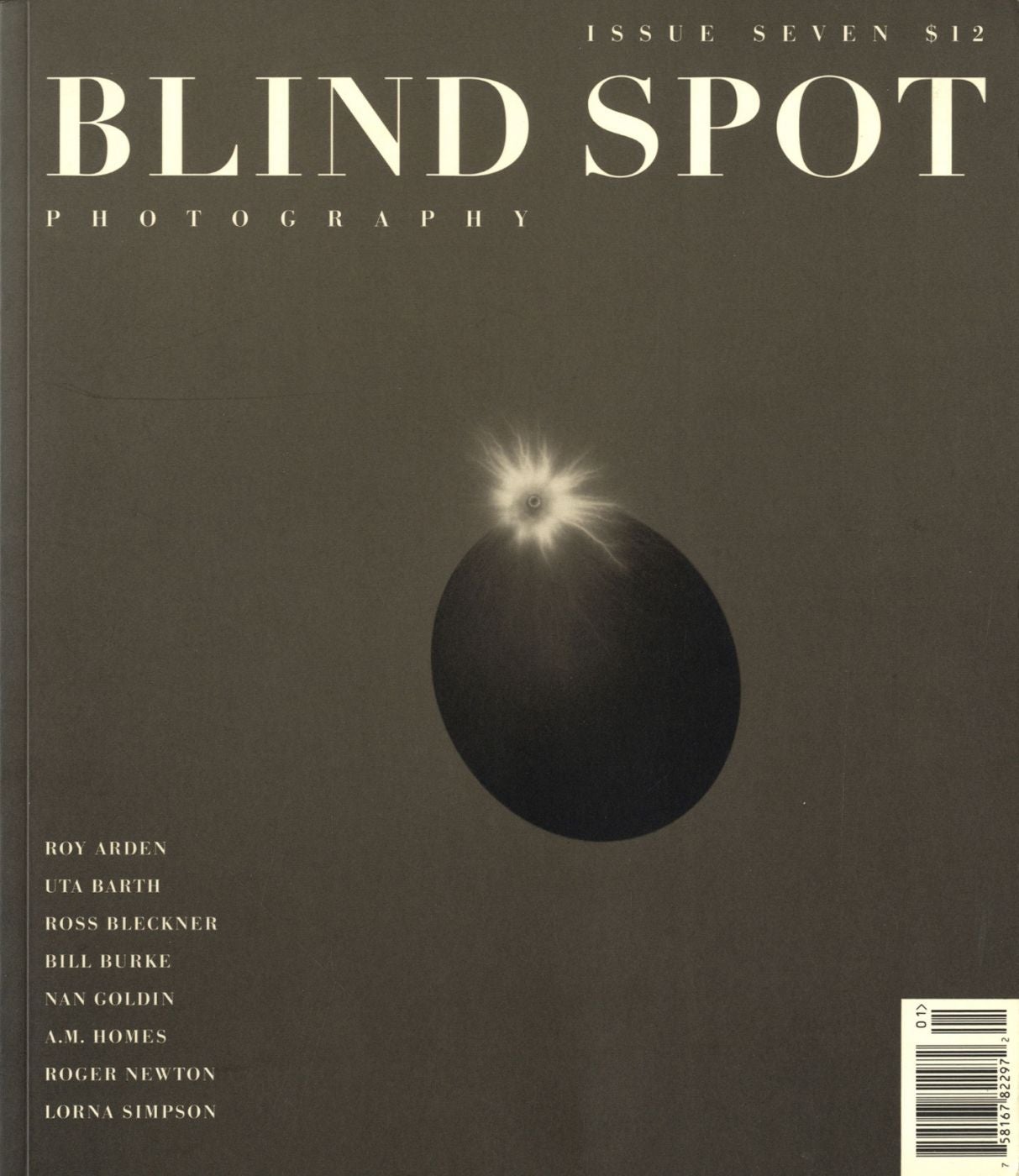 Blind Spot #7 (Photography Journal)