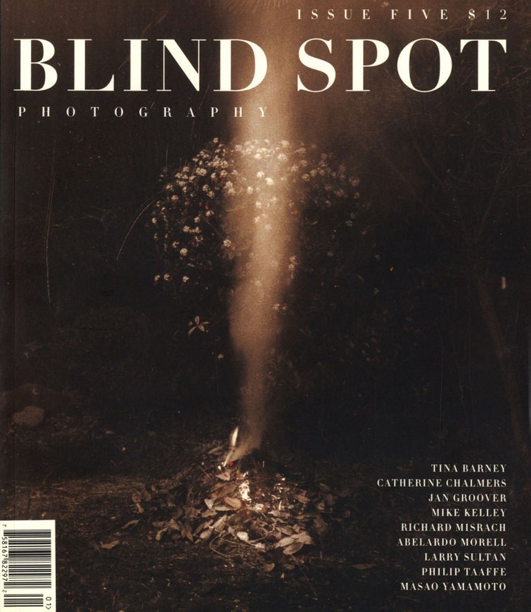 Blind Spot #5 (Photography Journal
