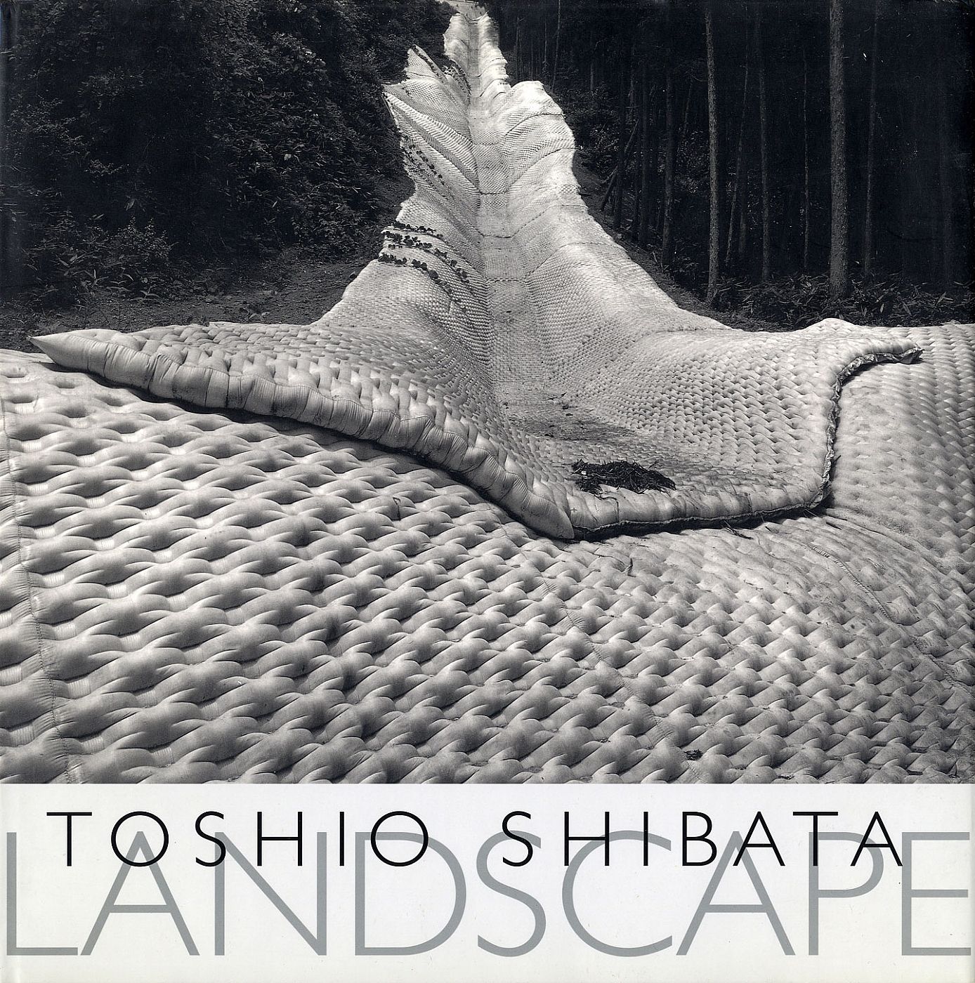 Toshio Shibata: Landscape (Second Printing) [SIGNED]