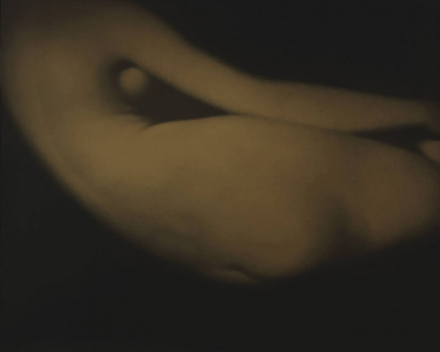 Robert Stivers: Sestina, Limited Edition (with Toned Silver Print, "The Clearing" Variant)