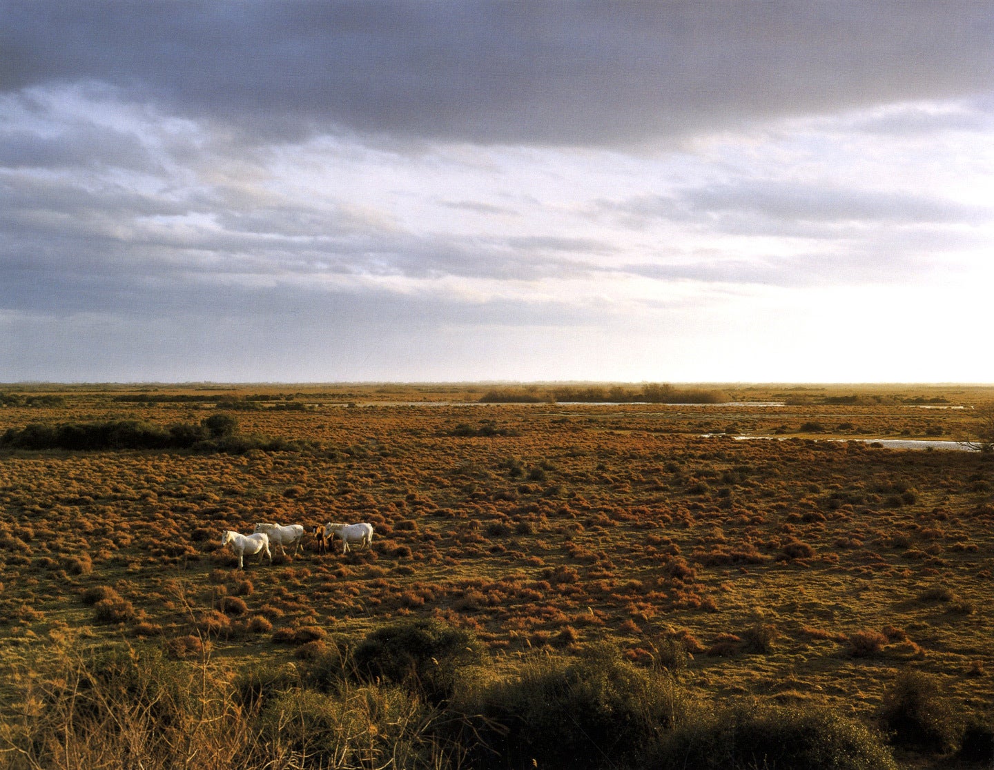 Naoya Hatakeyama: Atmos