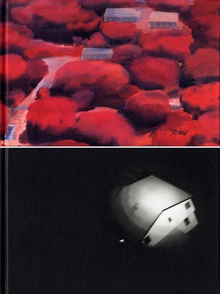 Item #101825 David Deutsch: Paintings and Photographs. David DEUTSCH, Laurence A., RICKELS
