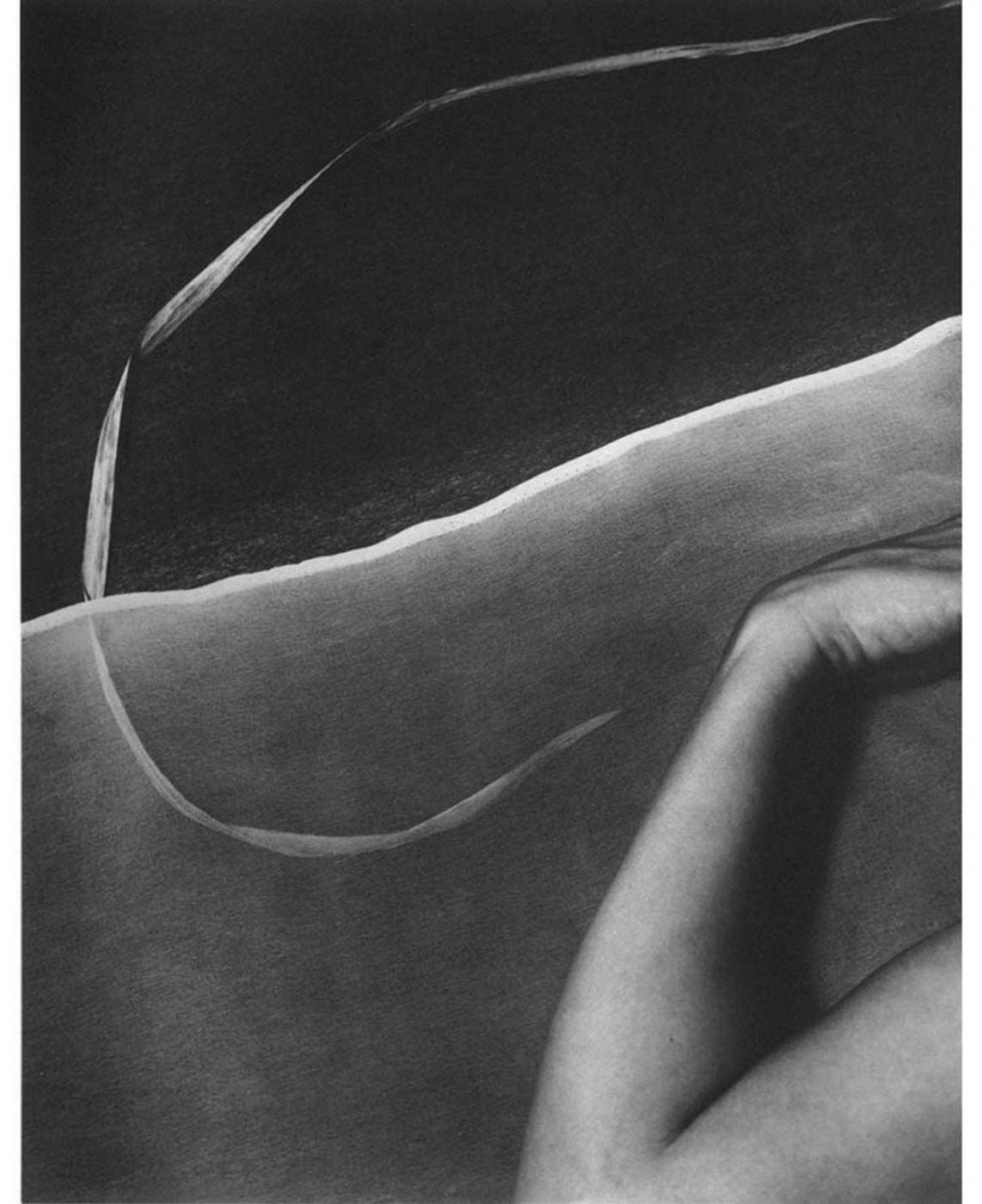 Sally Mann: Photographs and Poetry, Limited Edition (21st Platinum Edition)