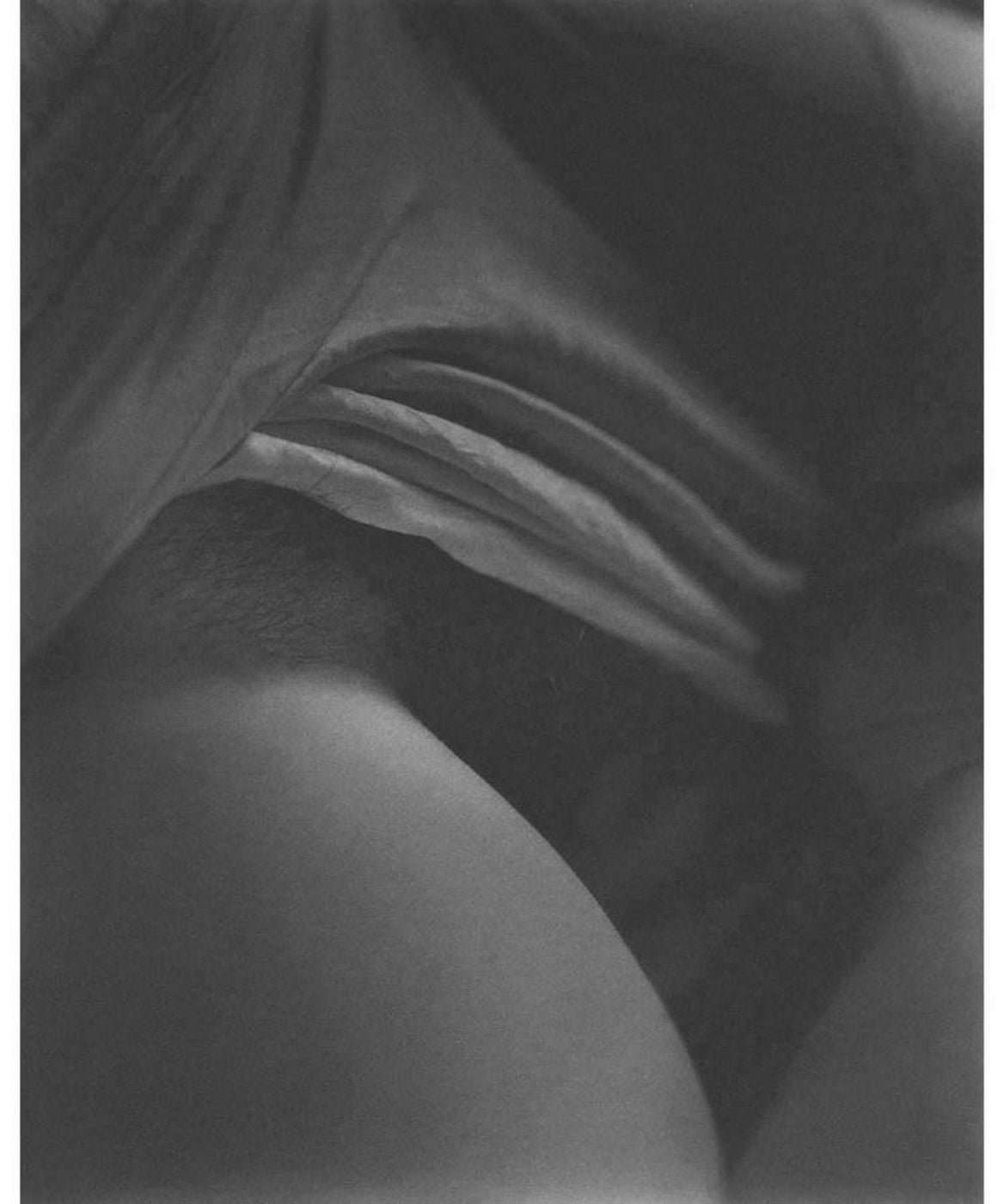 Sally Mann: Photographs and Poetry, Limited Edition (21st Platinum Edition)
