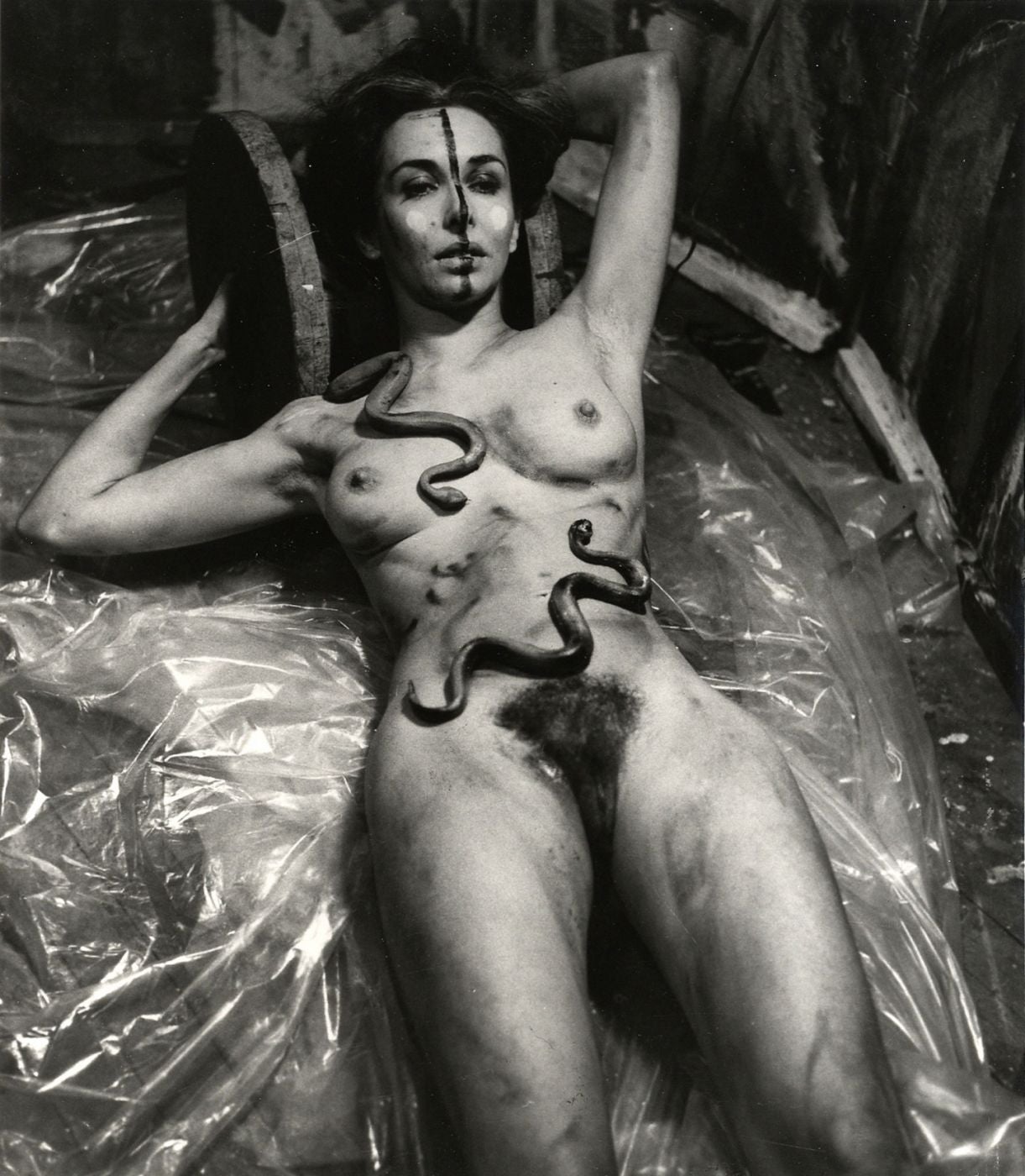 Carolee Schneemann: Imaging Her Erotics -- Essays, Interviews, Projects, Limited Edition (with 2 Prints)