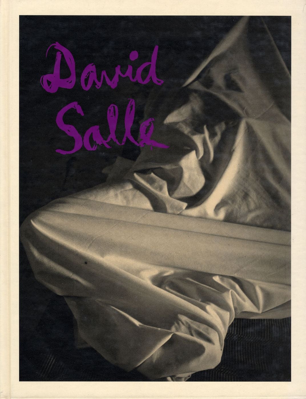 David Salle: Photographs 1980-1990