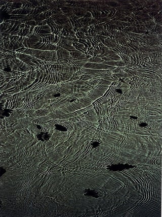 Item #105729 Susan Derges: "River Taw, 1997," Limited Edition (31 5/8 x 12" Ilfochrome, formerly...