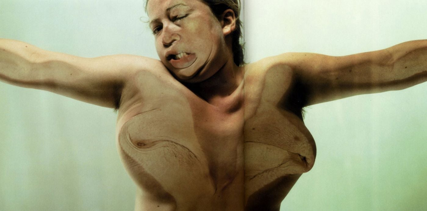 Jenny Saville and Glen Luchford: Closed Contact, Limited Edition (No Print) [SIGNED]