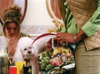 Item #105844 Nancy Honey: Poodle Parlour (One Picture Book #45), Limited Edition (with Print)....