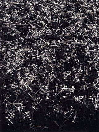 Item #106091 David Maisel: Cascade Effect (One Picture Book #49), Limited Edition (with Print)....