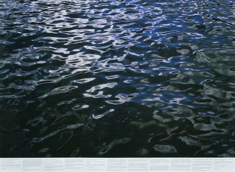 Still Water: Photographs by Roni Horn