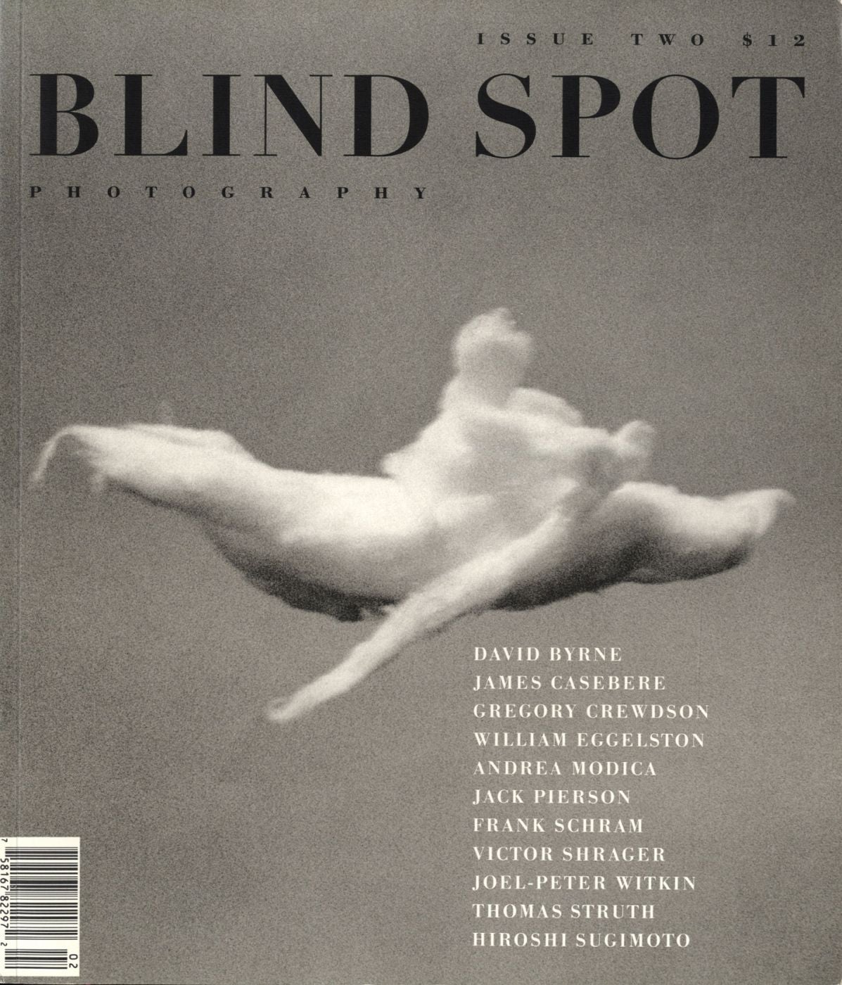 Blind Spot #2 (Photography Journal)
