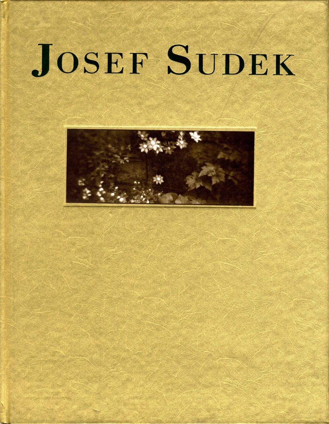 Josef Sudek by Josef SUDEK, Anna, FÁROVÁ on Vincent Borrelli, Bookseller