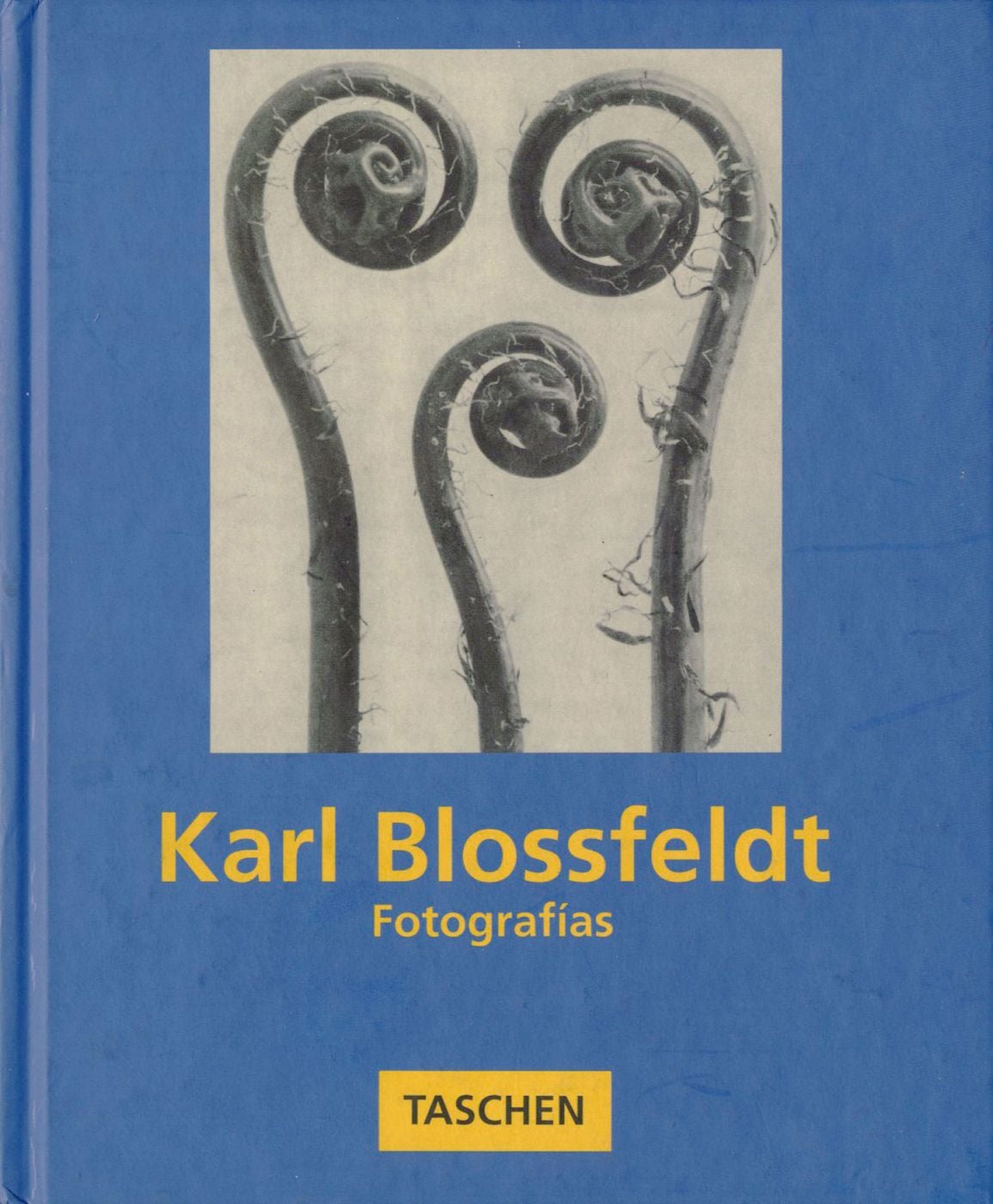 Karl Blossfeldt: Fotografías