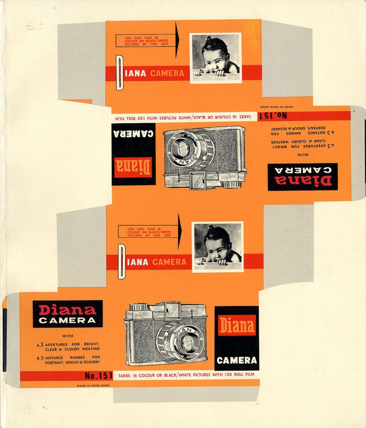 Untitled 21 (The Friends of Photography): The Diana Show: Pictures through a Plastic Lens