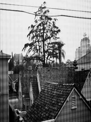 Item #107353 Peter Bartlett: (Untitled, 2005), Limited Edition Gelatin Silver Print. Peter BARTLETT
