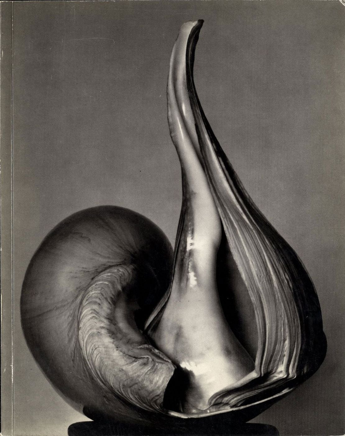 Untitled 41 (The Friends of Photography): EW 100: Centennial Essays in Honor of Edward Weston