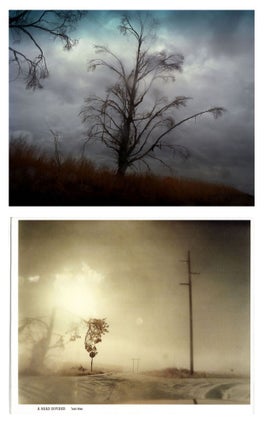 Item #107549 Todd Hido: A Road Divided, Special Limited Edition (with Type-C Print). Todd HIDO