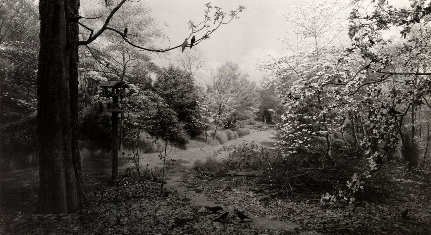 Photographs by Hiroshi Sugimoto: Dioramas, Theaters, Seascapes (Sonnabend Gallery and Sagacho Exhibit Space)