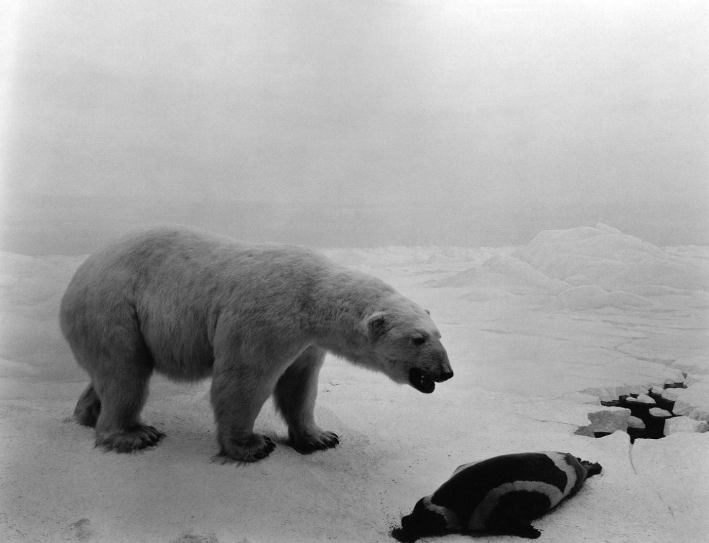 Photographs by Hiroshi Sugimoto: Dioramas, Theaters, Seascapes (Sonnabend Gallery and Sagacho Exhibit Space)