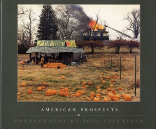 Item #108045 Joel Sternfeld: American Prospects (First Hardcover Edition). Joel STERNFELD, Anne...