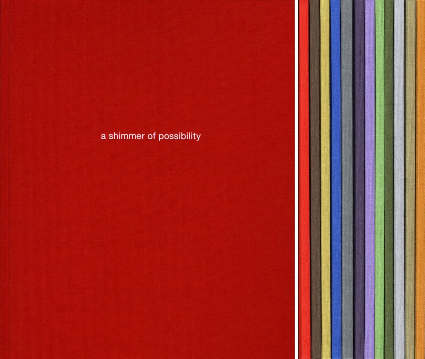 Paul Graham: A Shimmer of Possibility