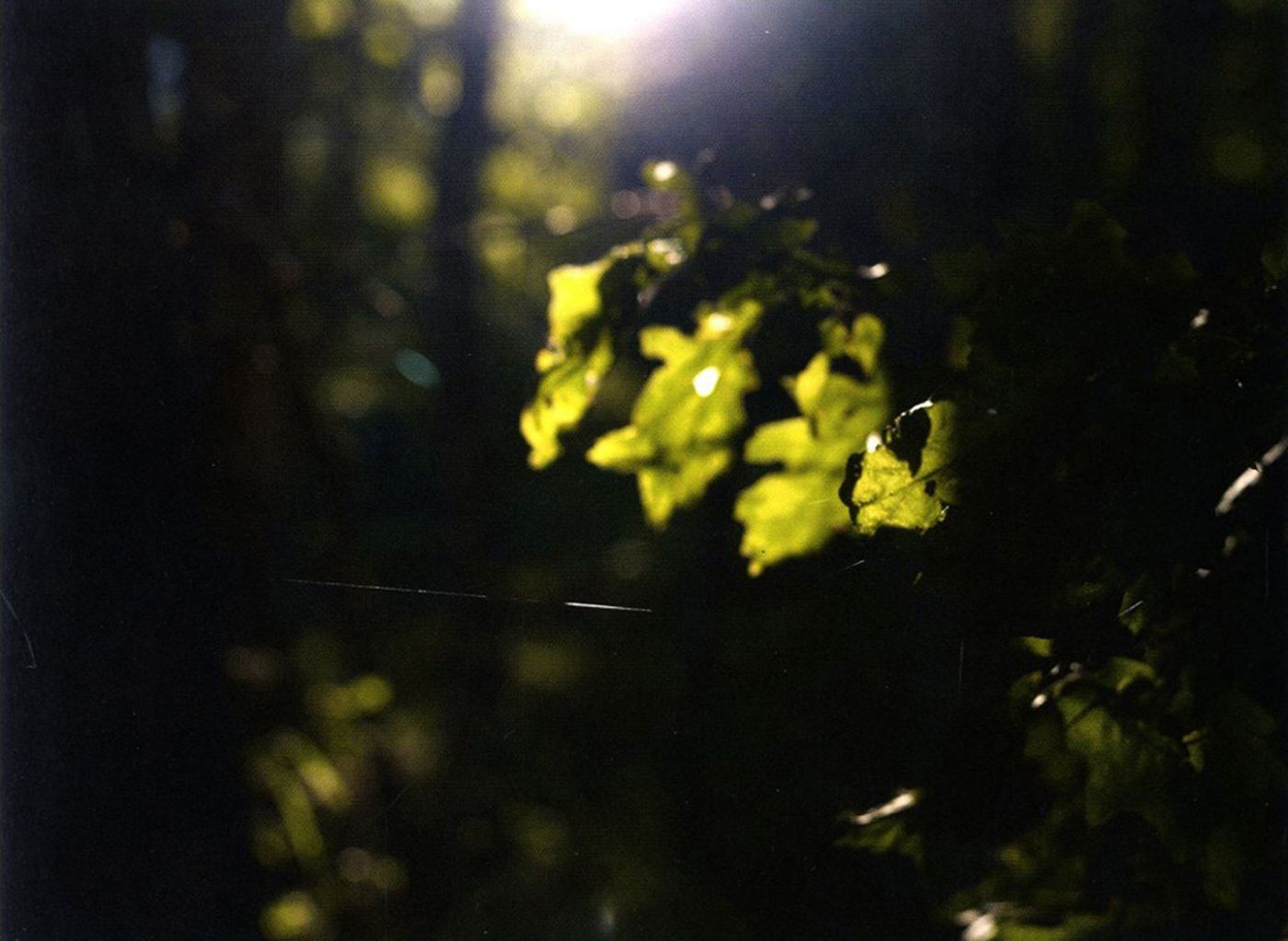 Paul Graham: A Shimmer of Possibility