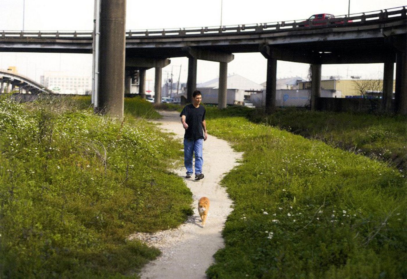 Paul Graham: A Shimmer of Possibility