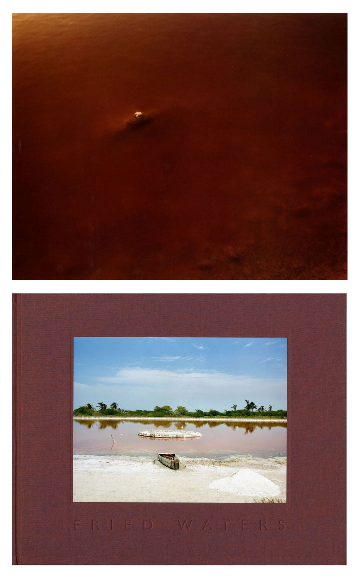 Eduardo del Valle and Mirta Gómez: Fried Waters, Special Limited Edition (with Loose Type-C Print)