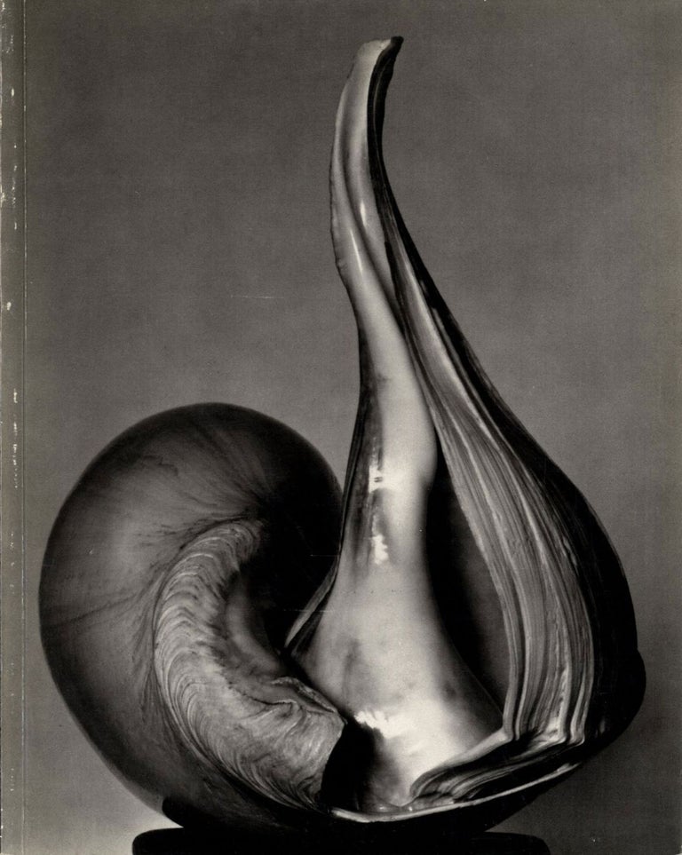 Untitled 41 (The Friends of Photography): EW 100: Centennial Essays in Honor of Edward Weston