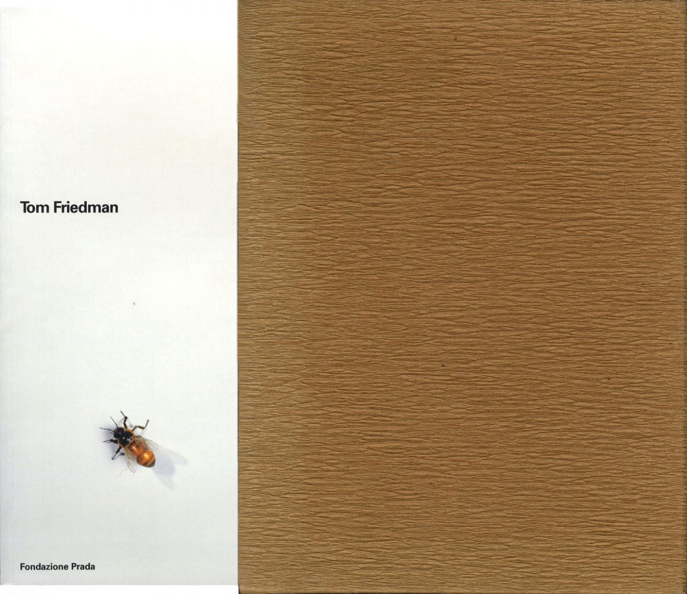 Tom Friedman (Fondazione Prada, Slipcased Two Volume Set)