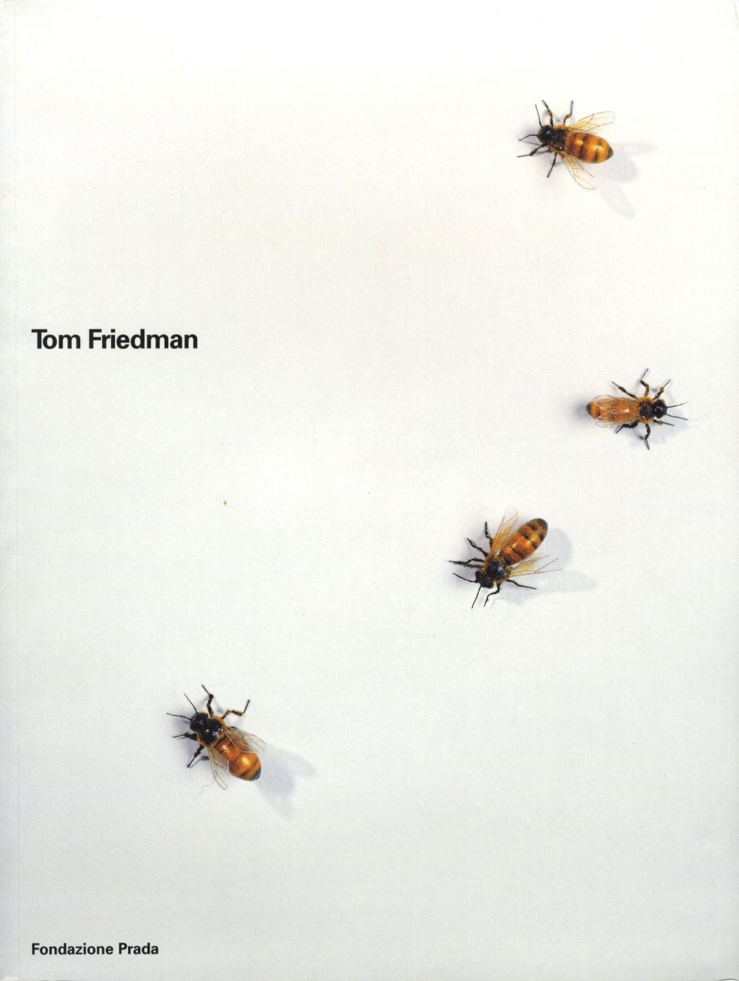 Tom Friedman (Fondazione Prada, Slipcased Two Volume Set)