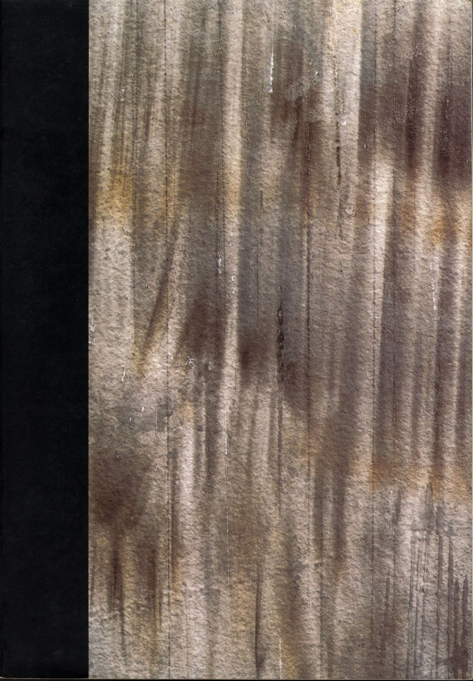 Ann Hamilton: São Paulo - Seattle