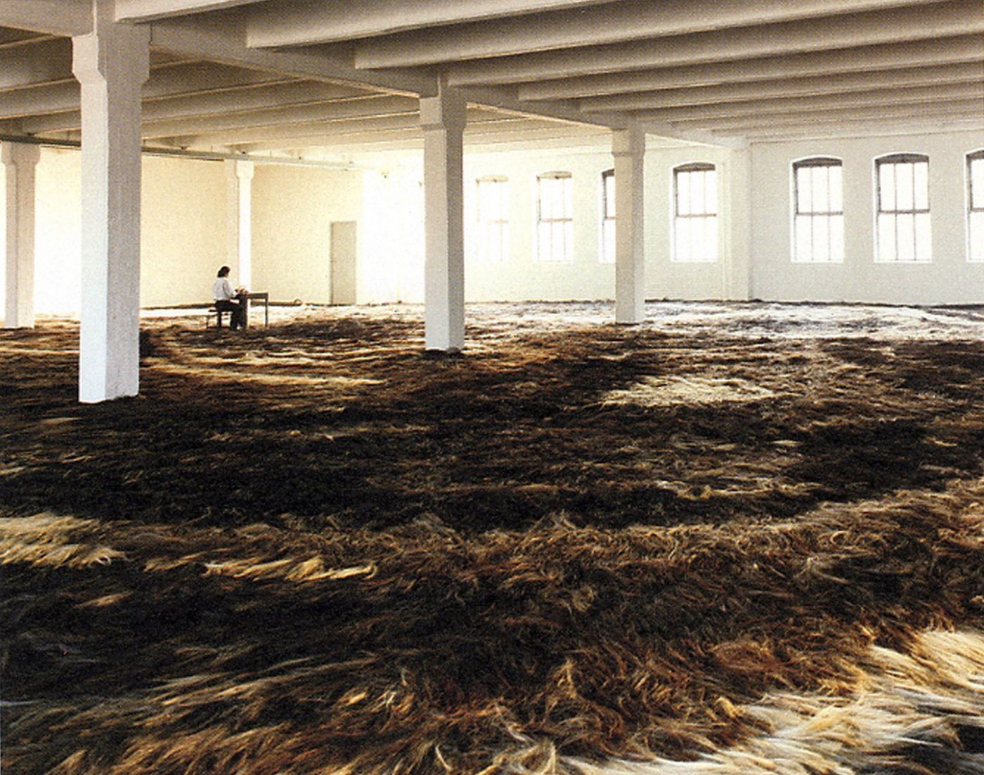 Ann Hamilton: tropos, 1993