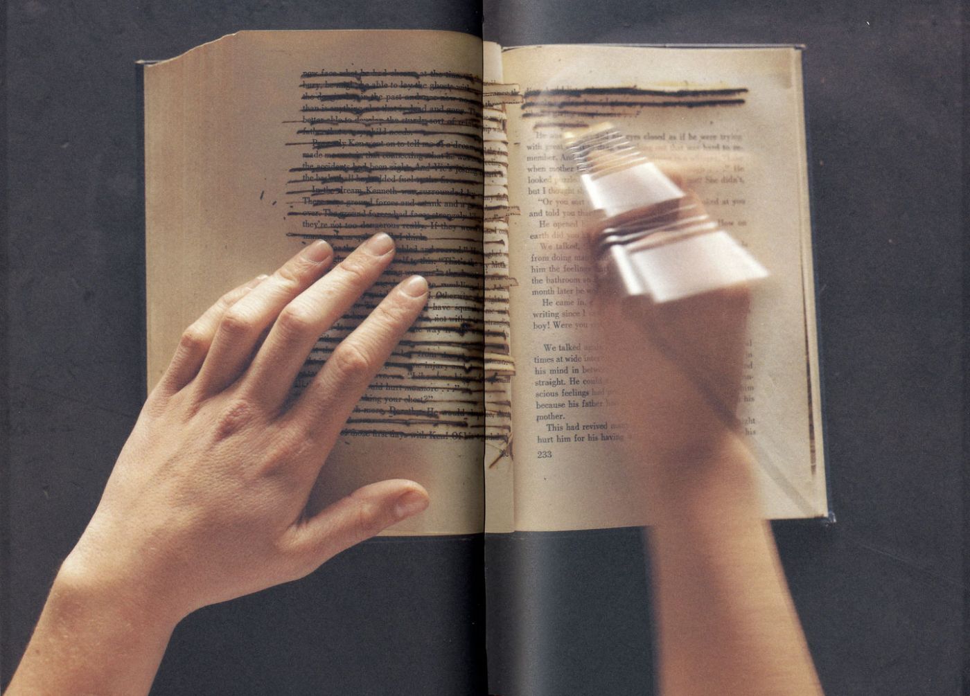 Ann Hamilton: tropos, 1993