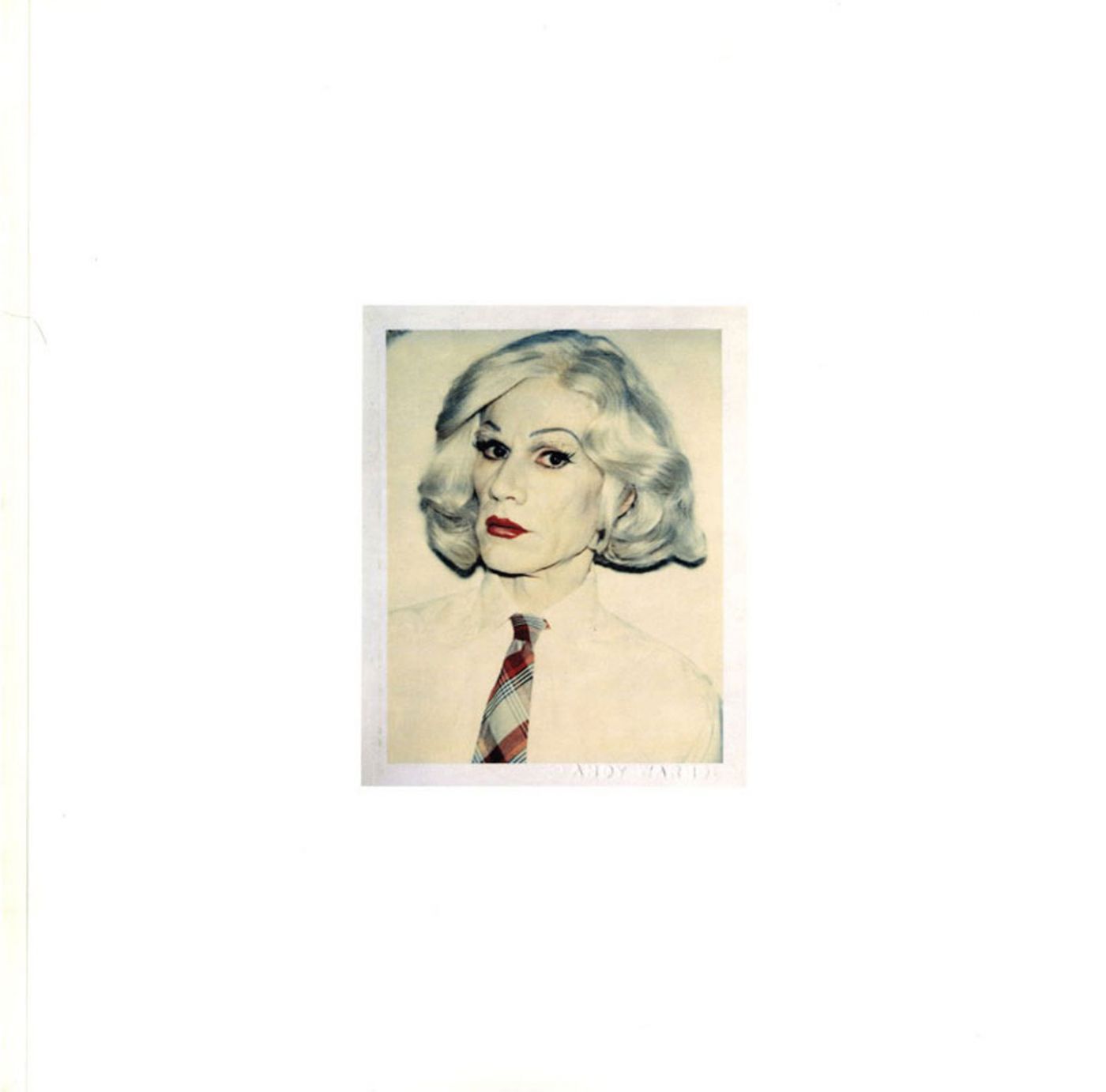 The Andy Warhol Photographic Legacy Program - The Andy Warhol Foundation for the Visual Arts 20-Year Report, 1987-2007