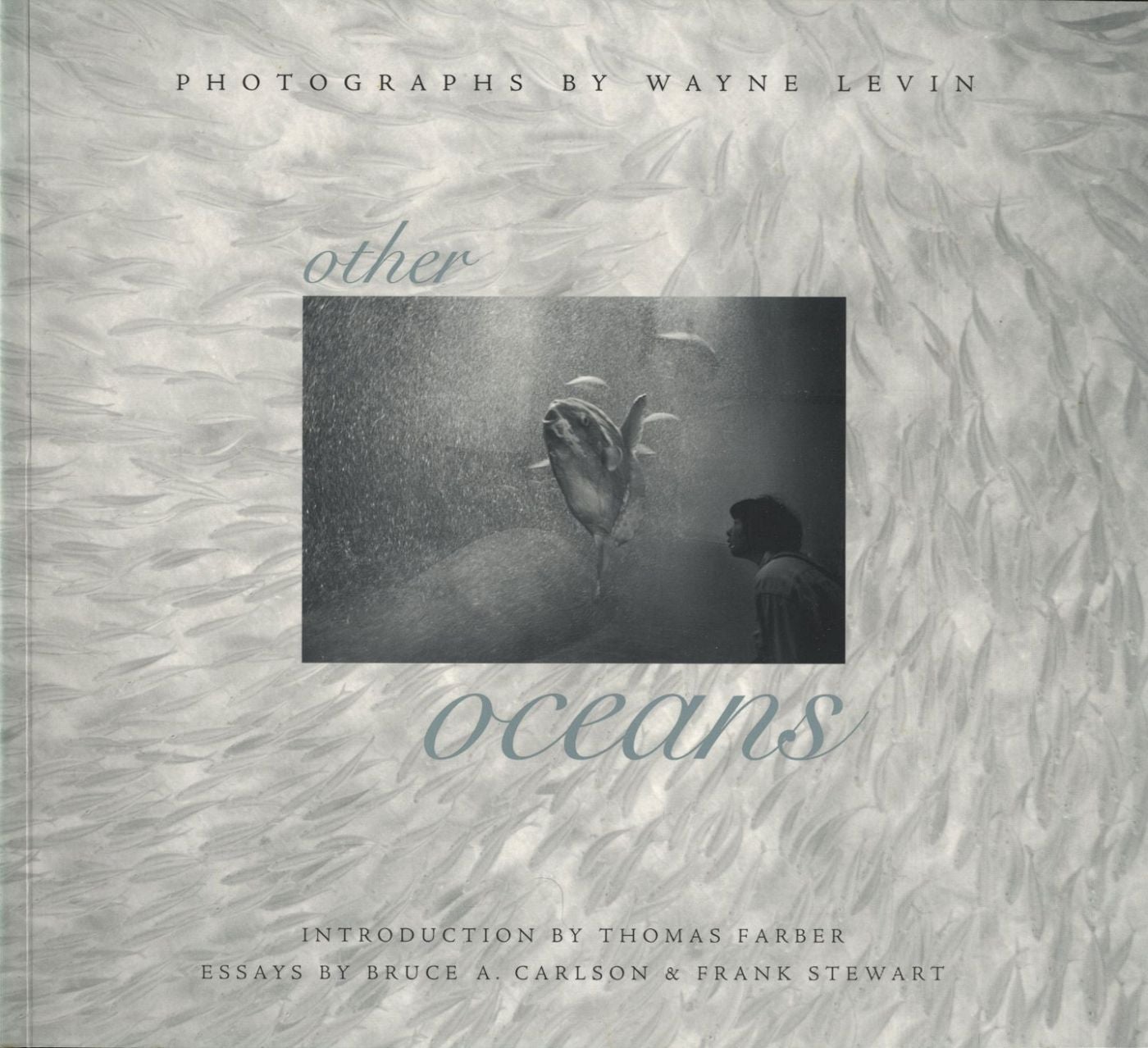 Wayne Levin: Other Oceans