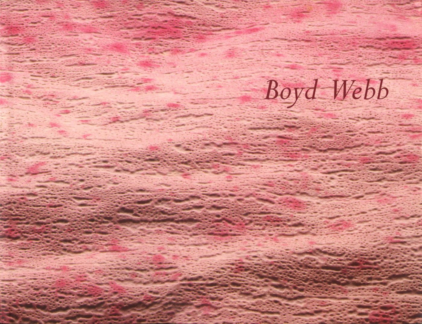Boyd Webb: VIII Indian Triennale