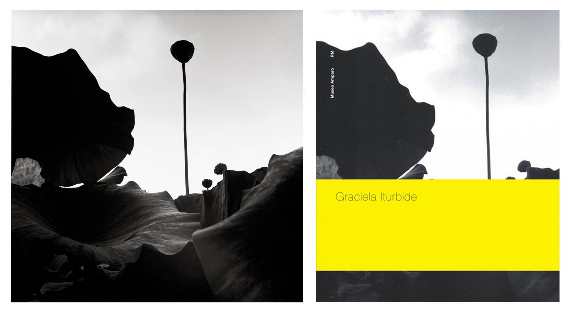 Graciela Iturbide (Museo Amparo), Special Limited Edition (with Gelatin Silver Print "Lugo, Italia, 2008")