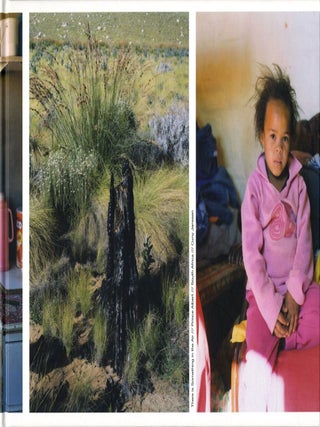 Item #110015 Cuny Janssen: There is Something in the Air in Prince Albert, South Africa. Cuny...