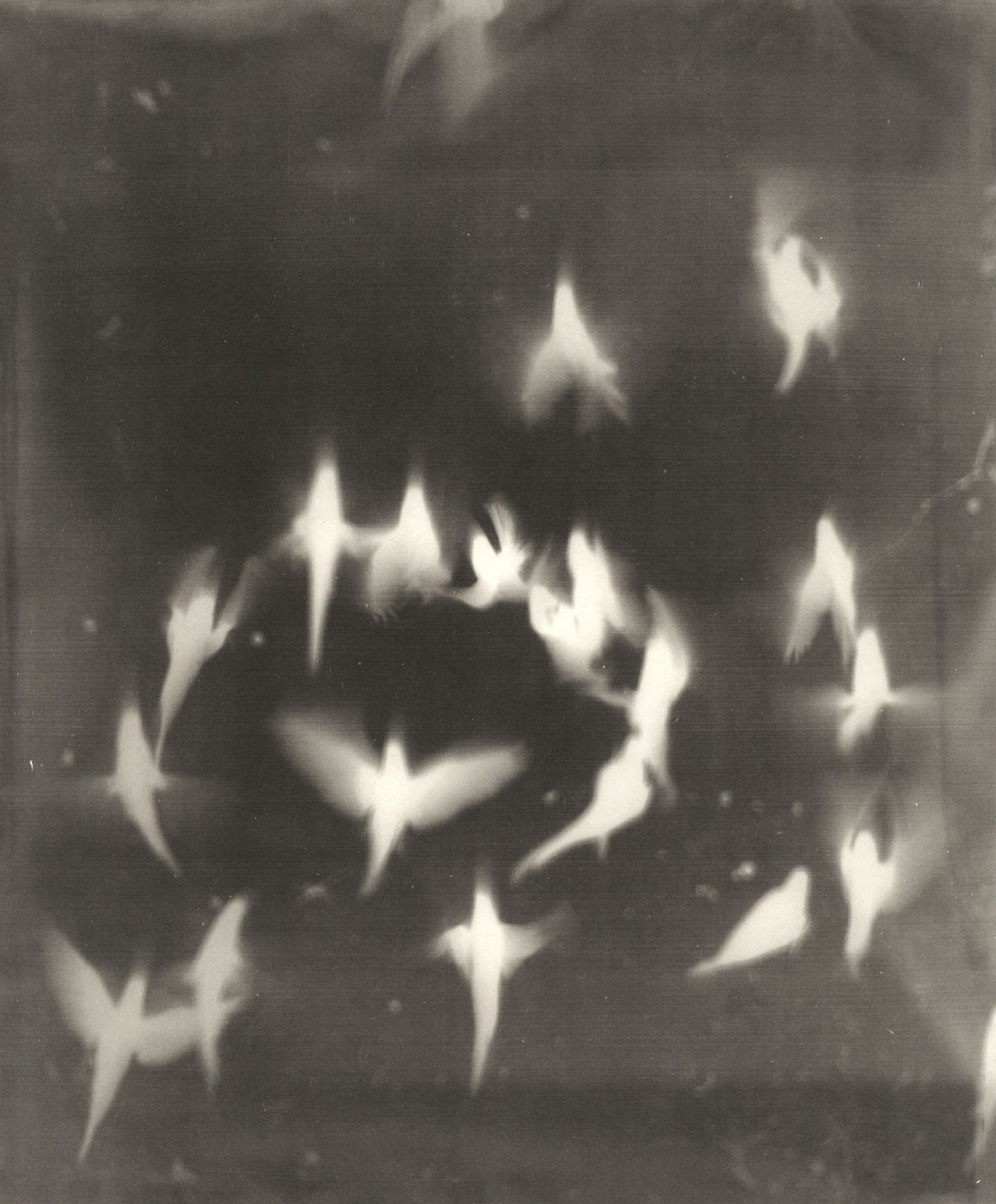 Adam Fuss: My Ghost