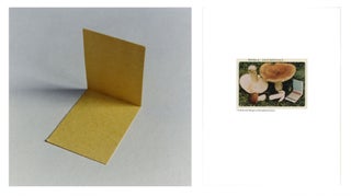 Item #110227 Jason Fulford: The Mushroom Collector, Limited Edition (with Print, "Folded...
