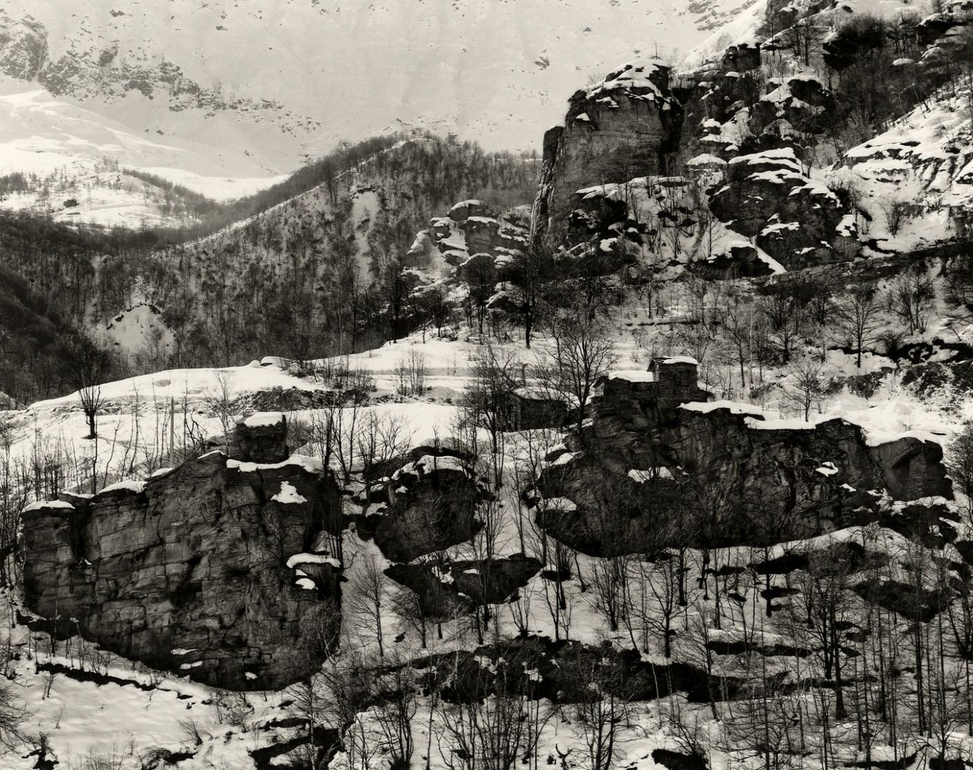 Jean Gaumy: D'Après Nature, Limited Edition (with Print)