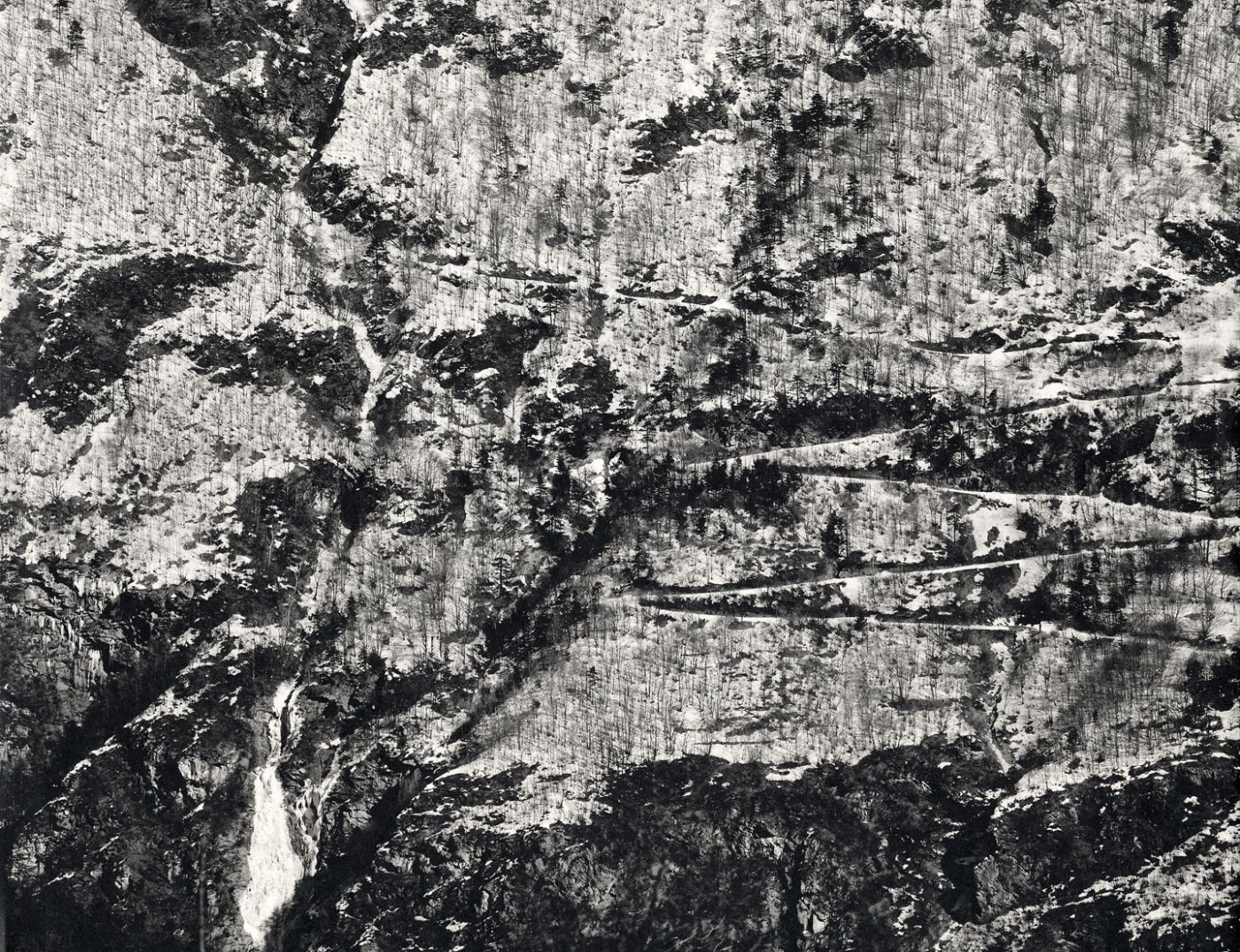 Jean Gaumy: D'Après Nature, Limited Edition (with Print)
