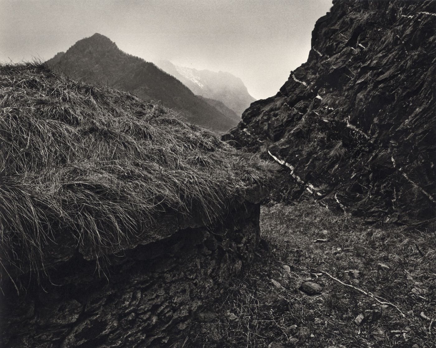 Jean Gaumy: D'Après Nature, Limited Edition (with Print)