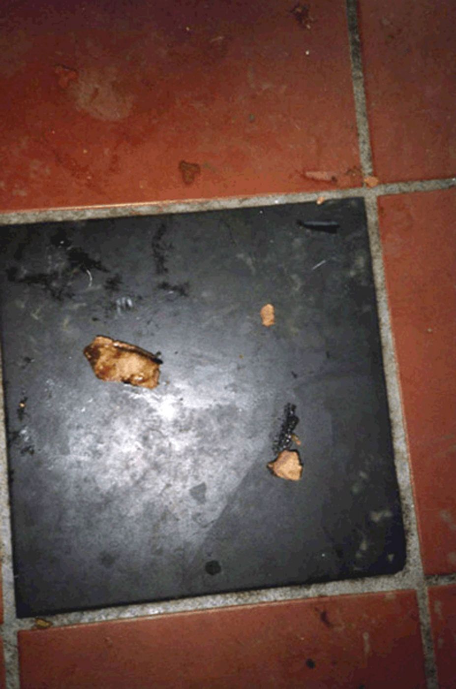 Anna Fox: 41 Hewitt Road 1996–1999