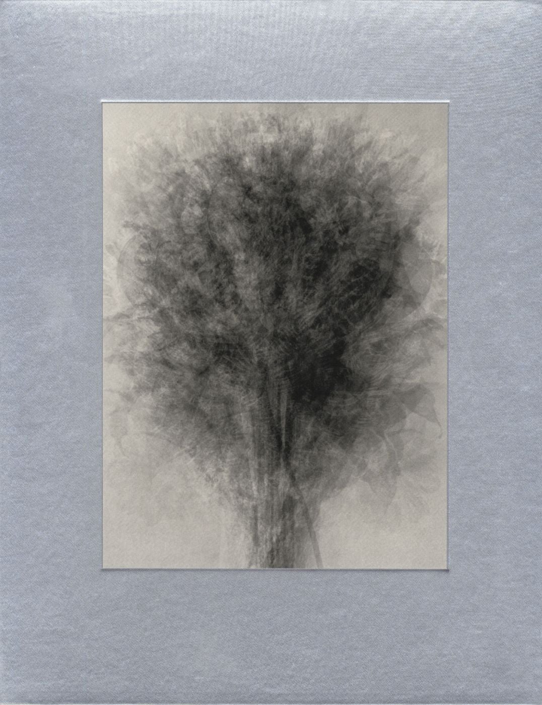 NZ Library #1: Idris Khan: Image | Music | Text, Limited Edition (NZ Library - Set One, Volume Four) [SIGNED]
